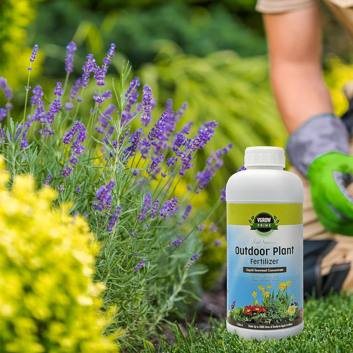 Vgrow Outdoor Plant Fertilizer - Liquid Seaweed Extract, Enriched with NPK, Organic Nutrients, and Essential Trace Elements